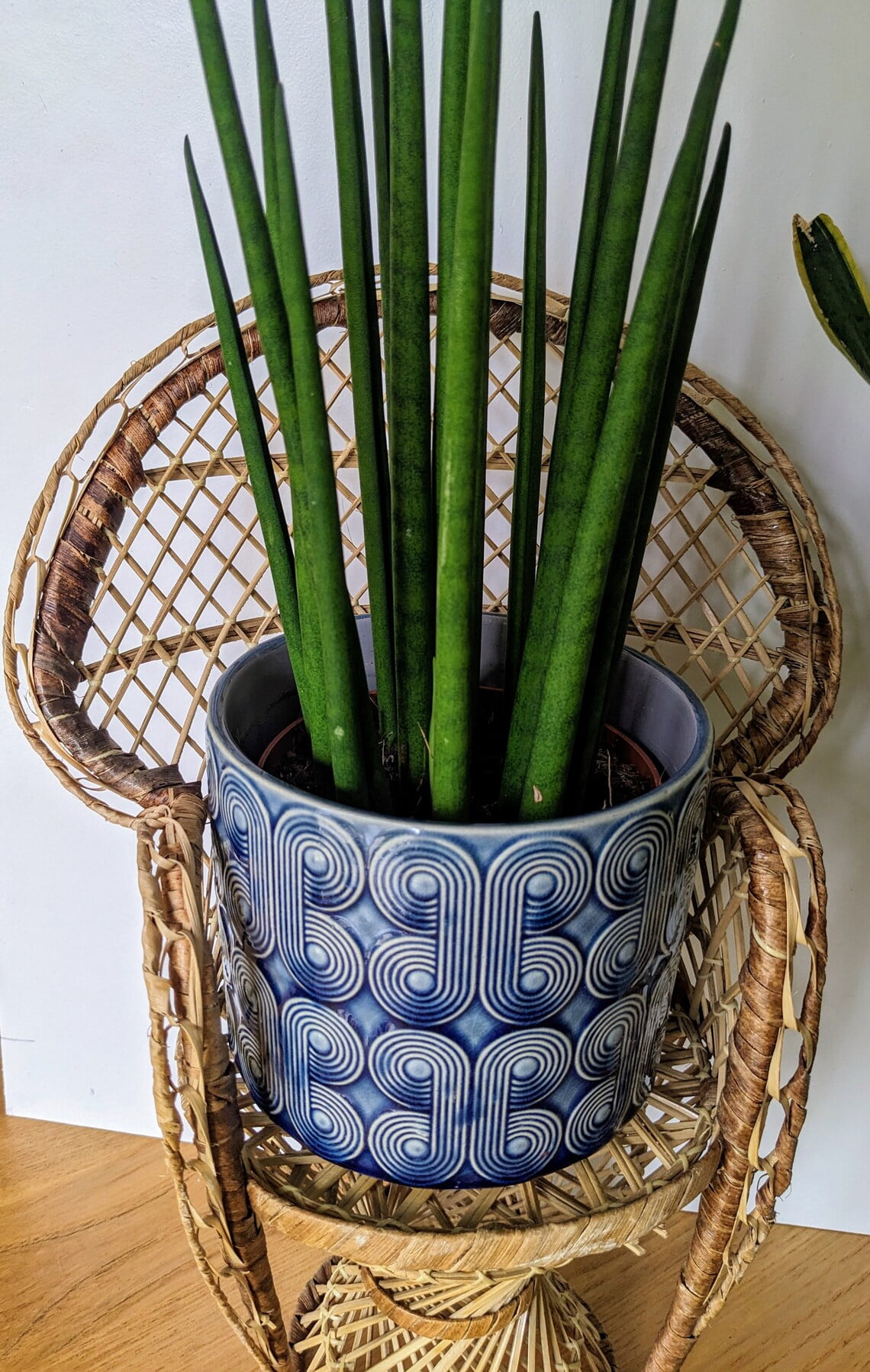 Mini 1970s Peacock wicker chair for a plant or doll - Image 3