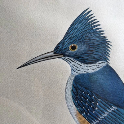 A fine original watercolour painting of a blue Kingfisher bird by C.B.S. Dangol