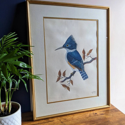 A fine original watercolour painting of a blue Kingfisher bird by C.B.S. Dangol