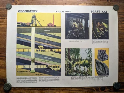Vintage educational posters and wall charts on diverse subjects
