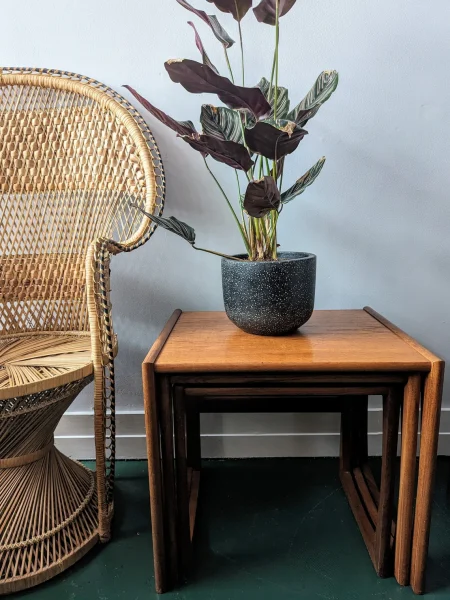 G Plan Quadrille midcentury nest of tables, 3 teak coffee or side tables - Image 8