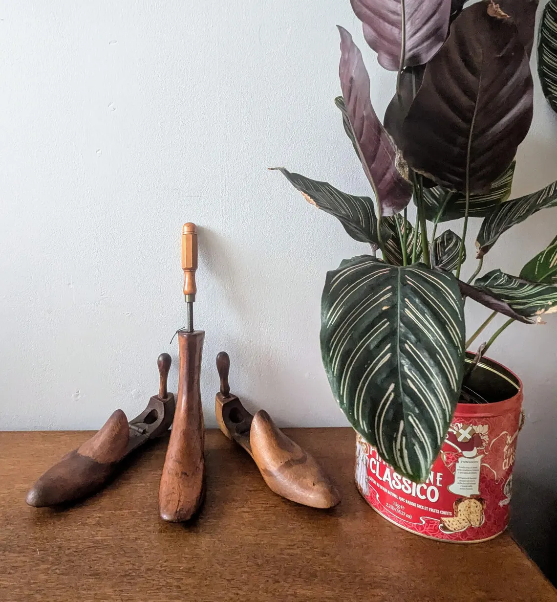 wooden shoe trees
