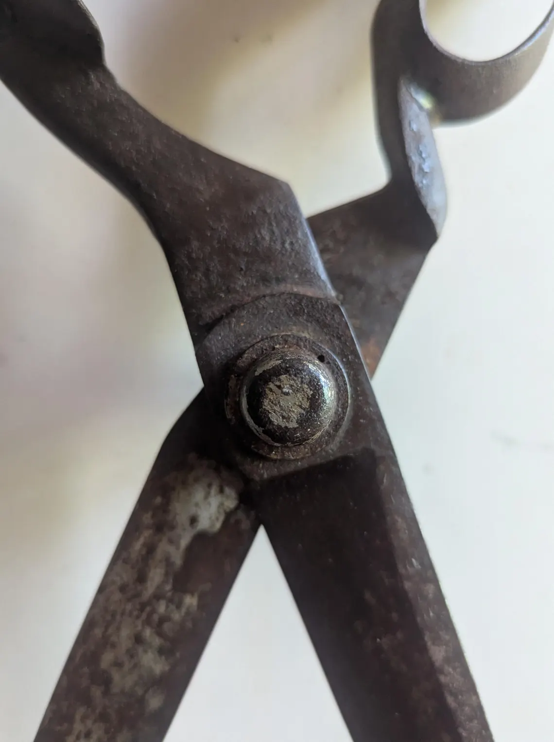 Huge antique tailor's shears, large 19th century 'Wilkinson's Lined Blades' scissors - Image 5