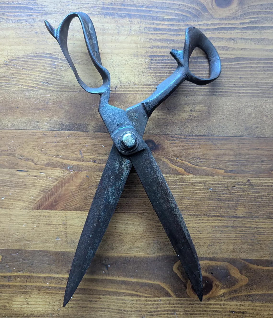 antique tailor's scissors