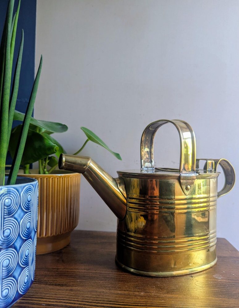 vintage indoor watering can