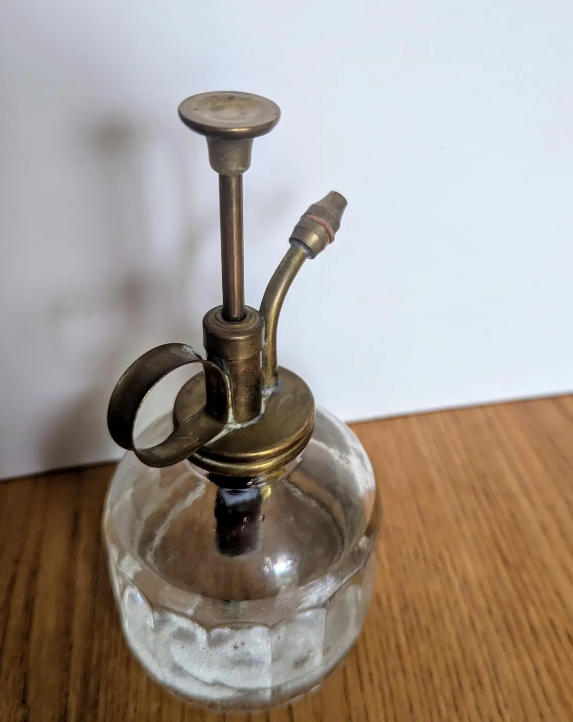 vintage plant spritzer