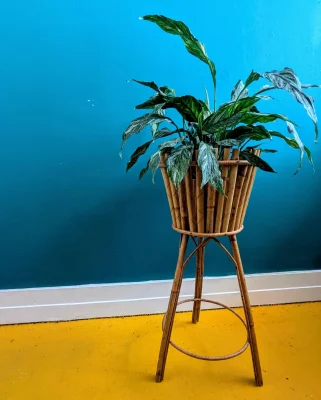 bamboo plant stand