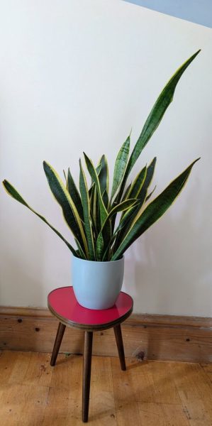 Midcentury small triangular German coffee or plant table - Image 10