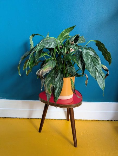 Midcentury small triangular German coffee or plant table - Image 2