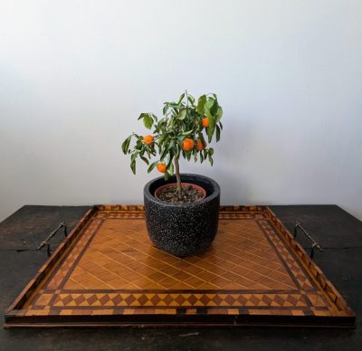 Early-mid century large parquetry Spanish wooden tray with brass handles