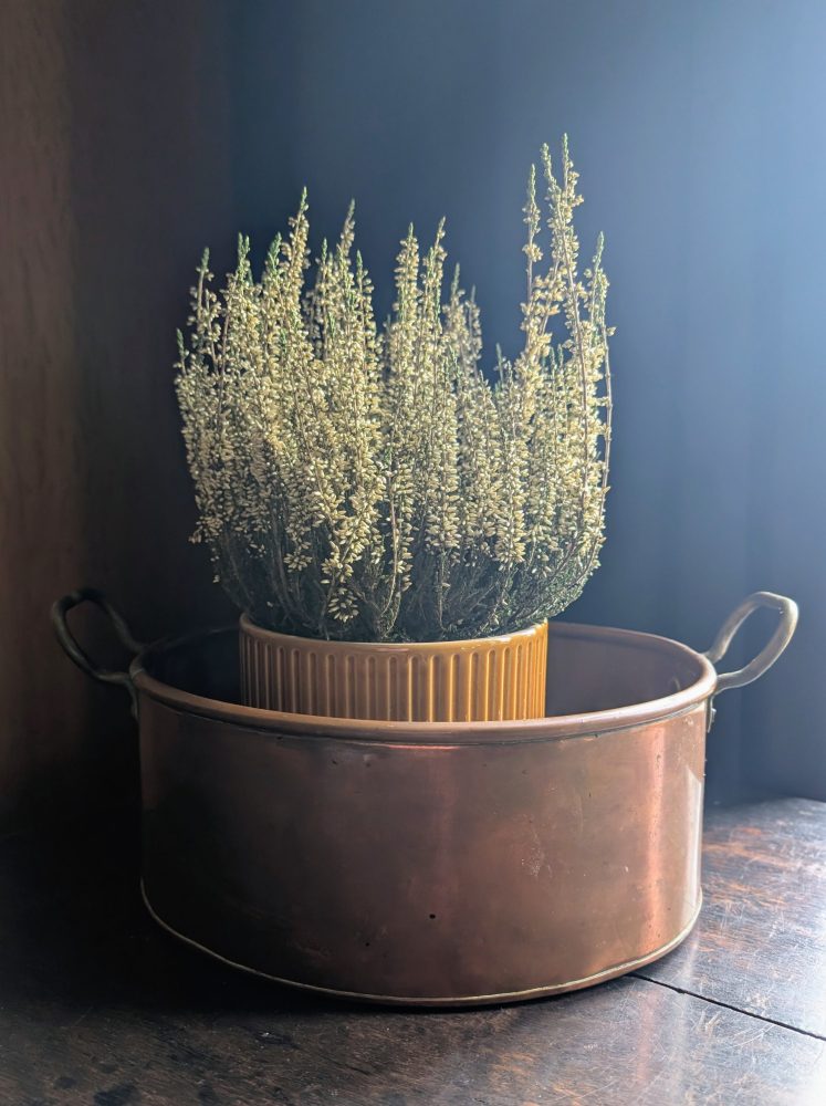 Victorian brass cooking pot planter - Image 7