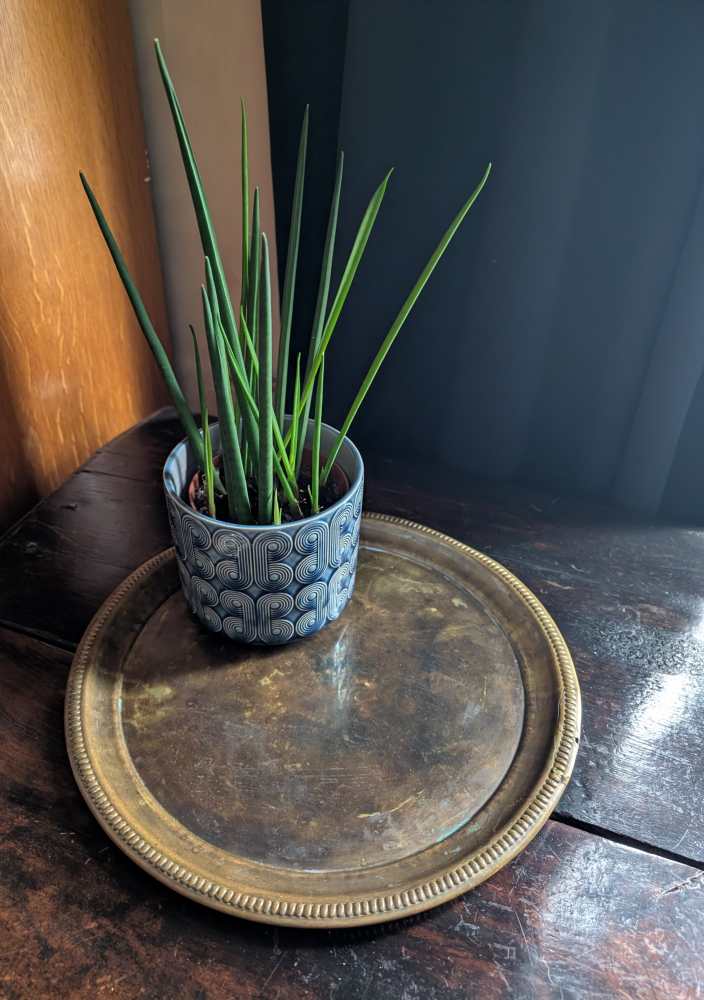 Round brass Edwardian tray - Image 2
