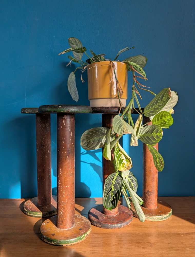 Large early 1900s wooden mill bobbins - Image 13
