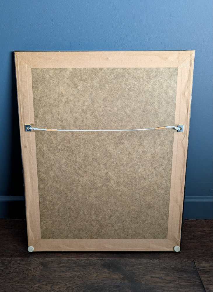 Yellow Rosella bird, large print after J & E Gould in vintage frame - Image 11