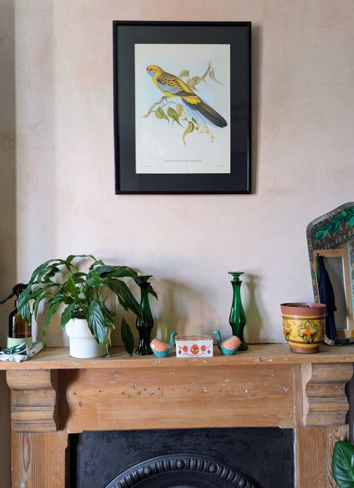 Yellow Rosella bird, large print after J & E Gould in vintage frame - Image 10