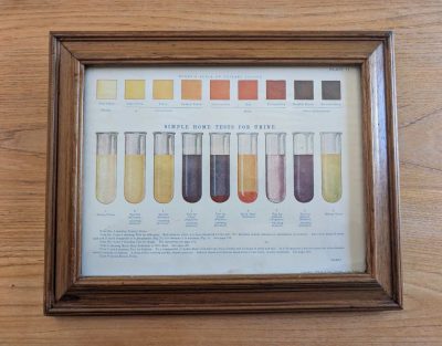 Early 1900s colour diagram of Simple Home Tests for Urine in vintage frame