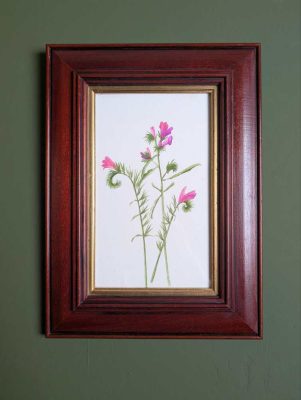 Original watercolour painting of pink wildflowers in vintage wooden frame