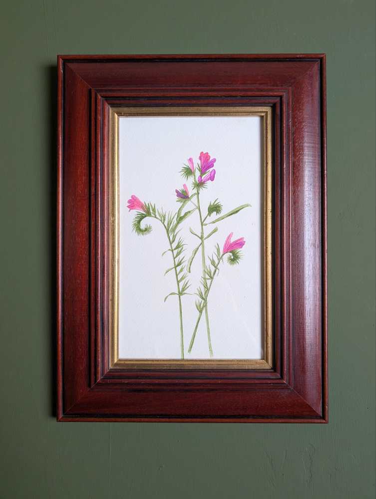 Original watercolour painting of pink wildflowers in vintage wooden frame
