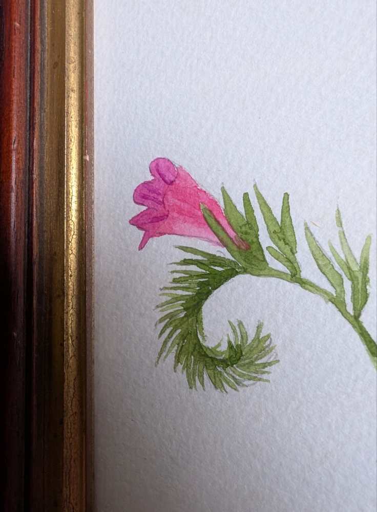 Original watercolour painting of pink wildflowers in vintage wooden frame - Image 4