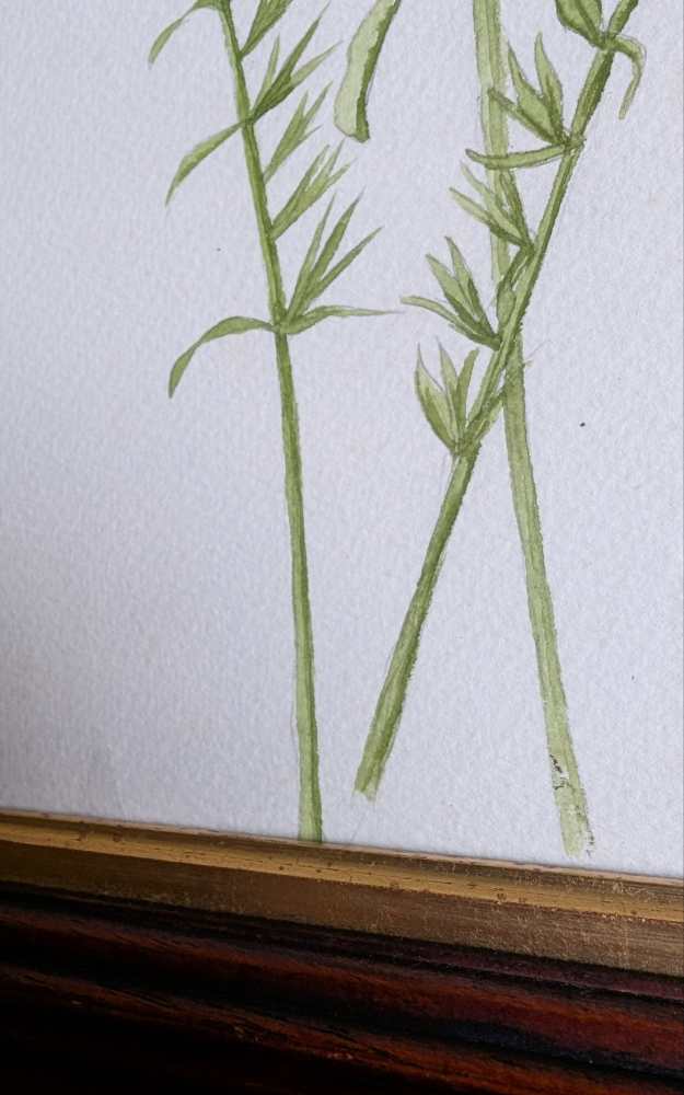 Original watercolour painting of pink wildflowers in vintage wooden frame - Image 7