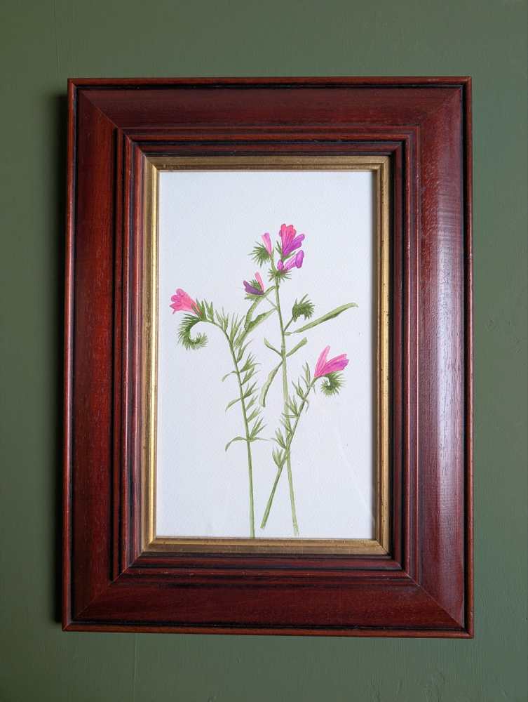 Original watercolour painting of pink wildflowers in vintage wooden frame - Image 5