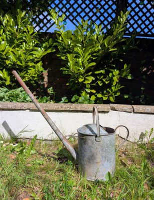 Early-mid century long spouted watering can