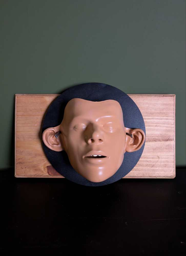 Face