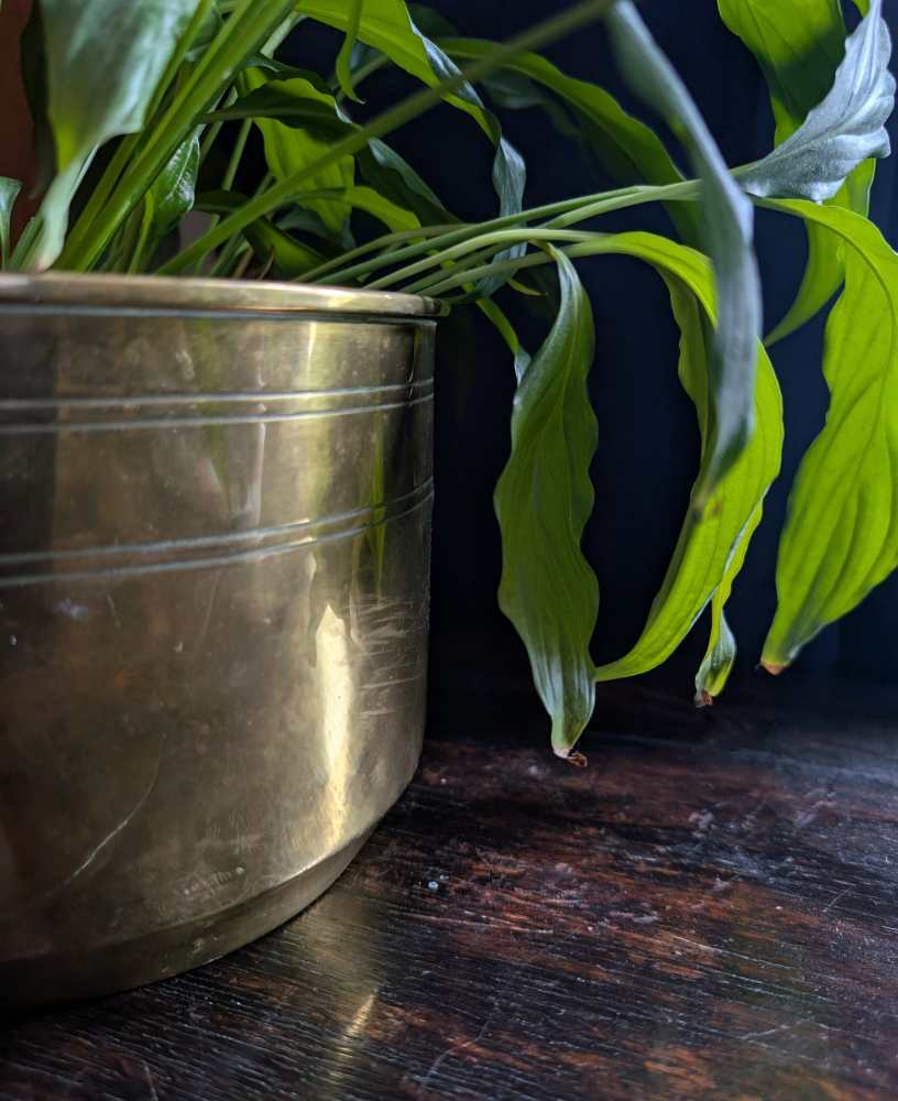 Early 1900s Nestor Birmingham brass plant pot - Image 2