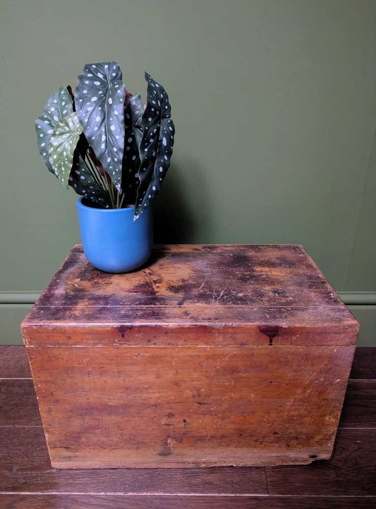 c. late 19th century stained pine storage box and coffee table - Image 14
