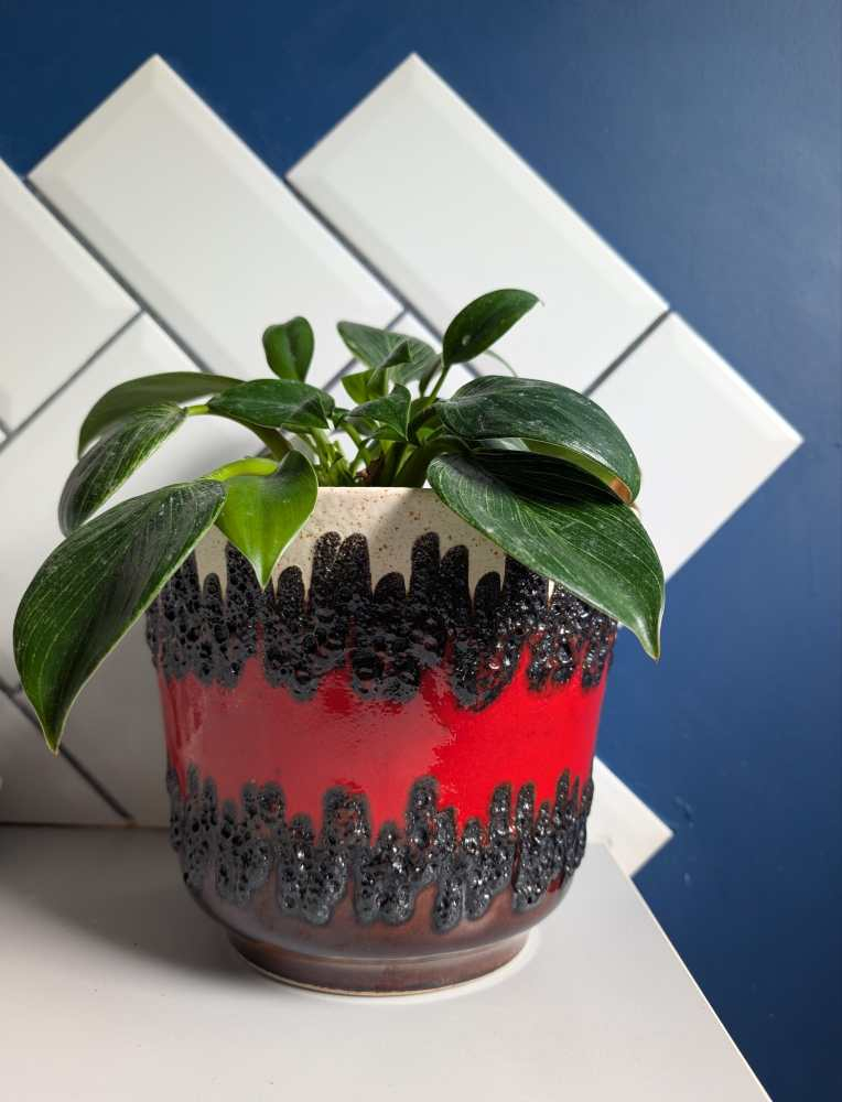 Large Bay Keramik fat lava red and cream plant pot - Image 9