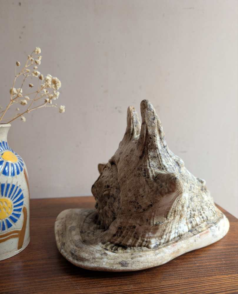 Large vintage horned Queen Conch - Image 10