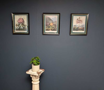Trio of framed otherworldly floral prints from The Temple of Flora by Robert Thornton, originally pub. 1807