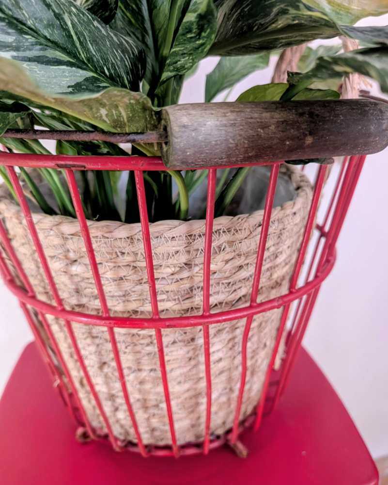 Vintage red potato pickers bucket - Image 7