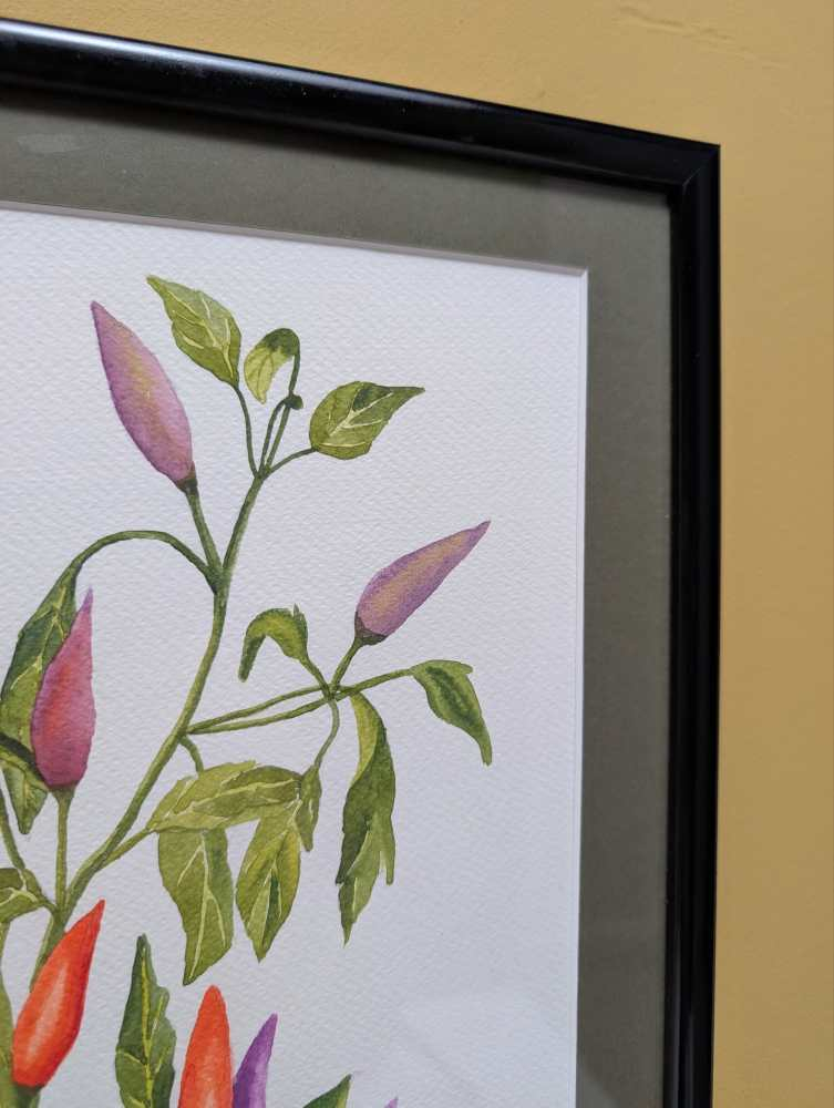 Original watercolour painting of the Manuka flower - Image 5