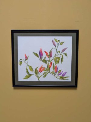 Original watercolour painting of the Manuka flower