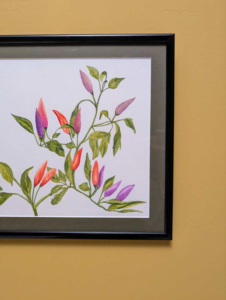 Original watercolour painting of the Manuka flower - Image 3