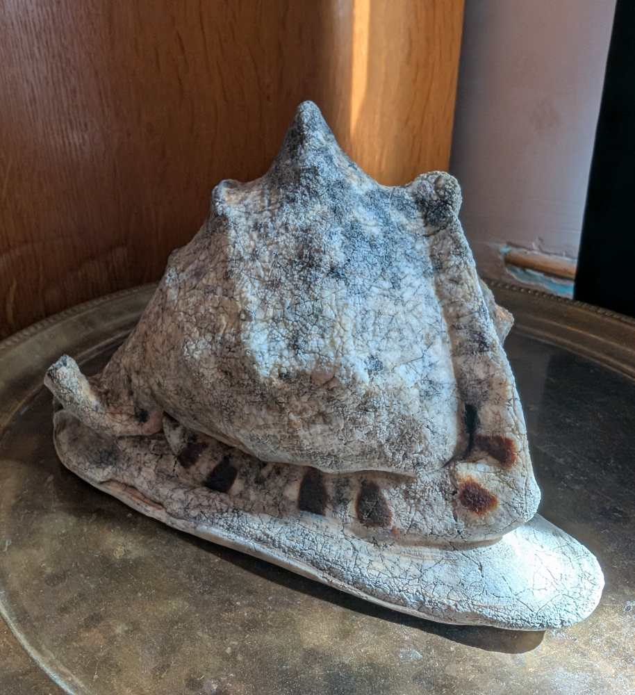 Weathered antique queen helmet conch shell - Image 7