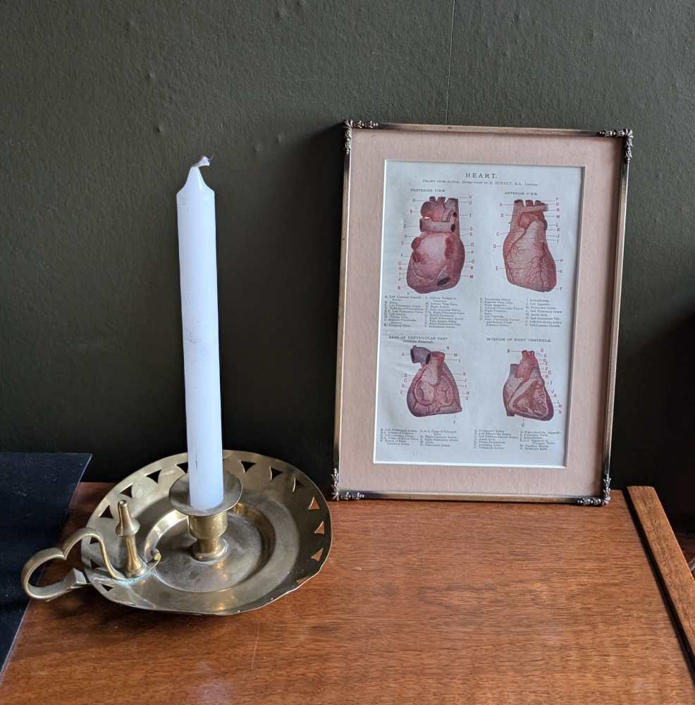 Early 1900s coloured illustration of the Heart, by Dr Étienne Burnet, in period frame - Image 5