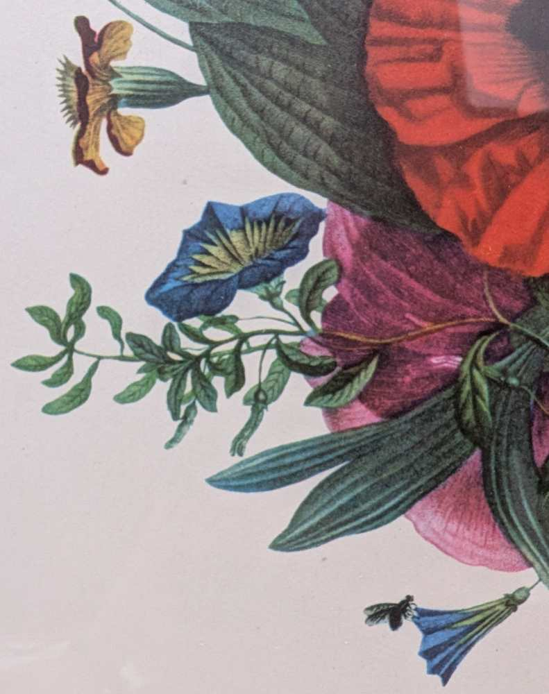 Pair of French floral prints of early 19th C. flower illustrations, after J.L. Prevost in matching wooden frames - Image 18