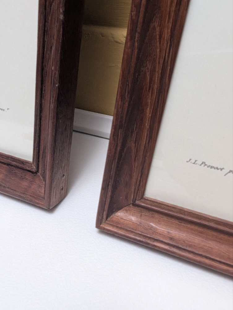 Pair of French floral prints of early 19th C. flower illustrations, after J.L. Prevost in matching wooden frames - Image 12
