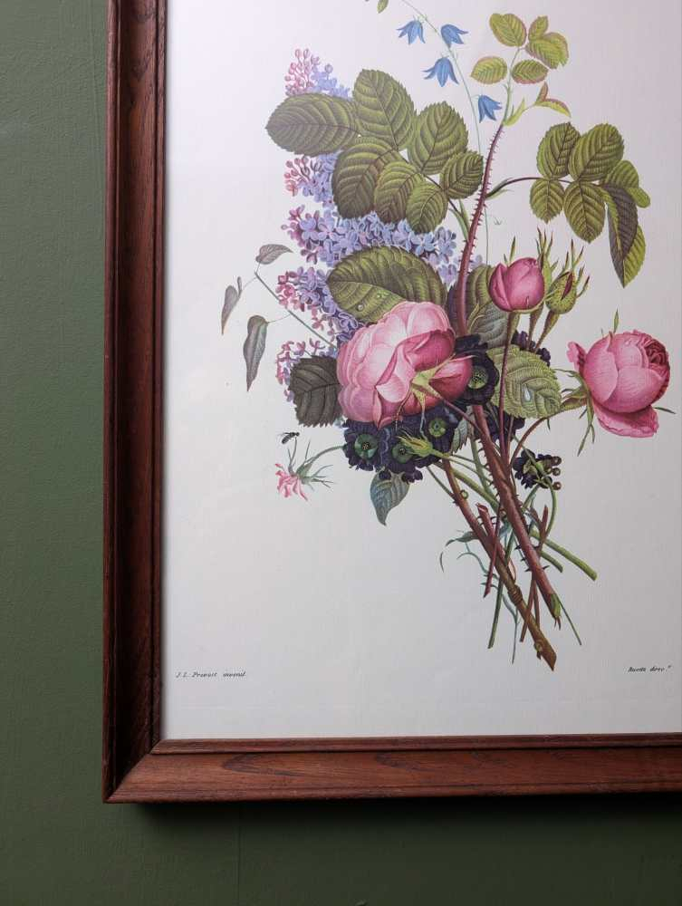 Pair of French floral prints of early 19th C. flower illustrations, after J.L. Prevost in matching wooden frames - Image 3
