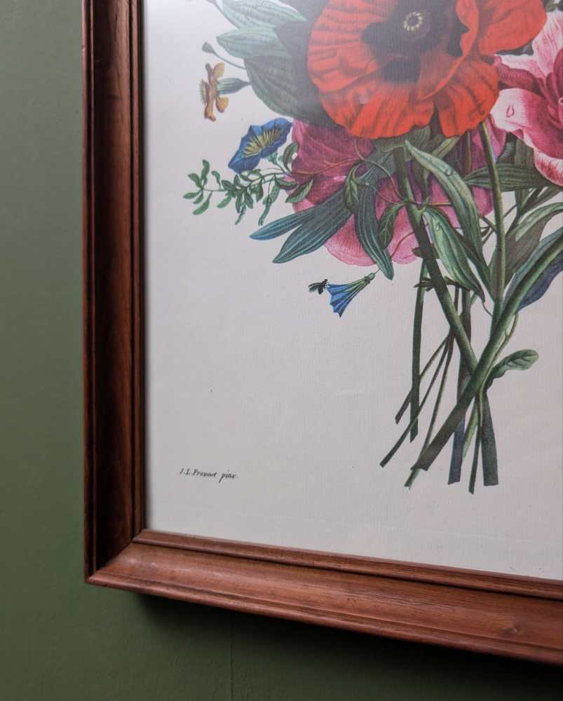 Pair of French floral prints of early 19th C. flower illustrations, after J.L. Prevost in matching wooden frames - Image 15