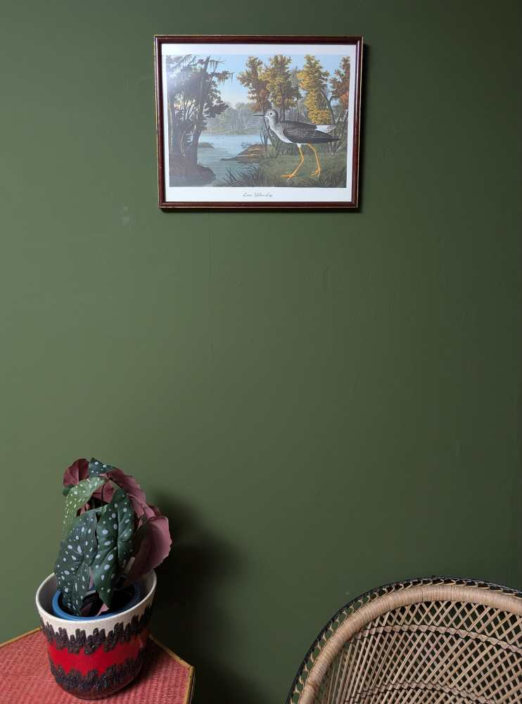 Vintage print of Lesser Yellow-Legs in vintage frame after J.J. Audubon's early 19th century bird illustration - Image 10