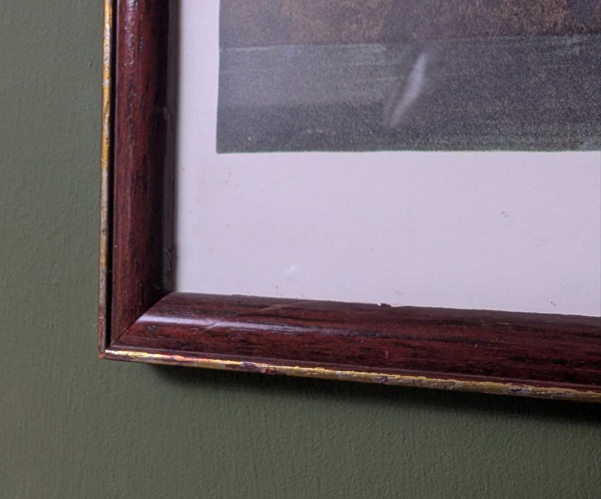 Vintage print of Lesser Yellow-Legs in vintage frame after J.J. Audubon's early 19th century bird illustration - Image 4