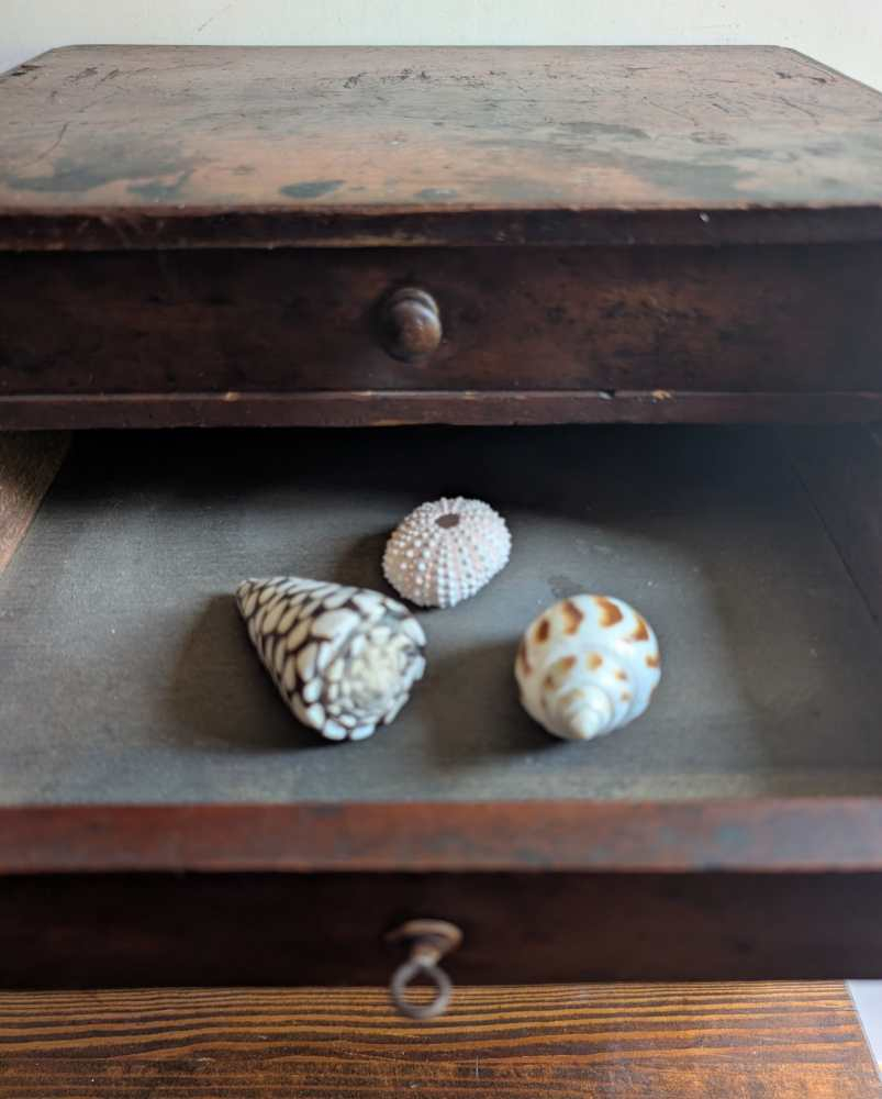 Mini Wellington chest of 5 collector's drawers - Image 10