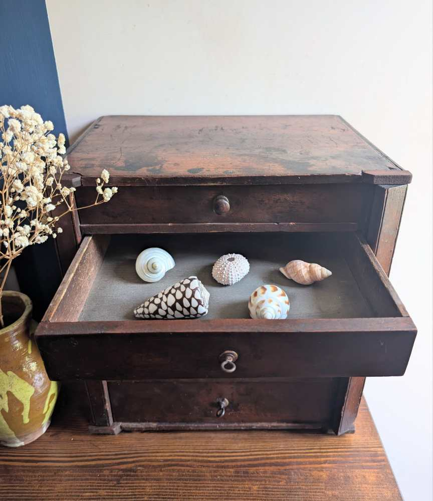 Mini Wellington chest of 5 collector's drawers - Image 9