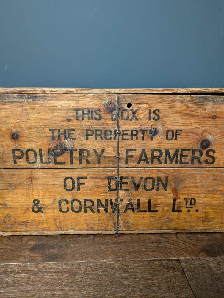 c.1950s Devon and Cornwall egg transportation box - Image 3