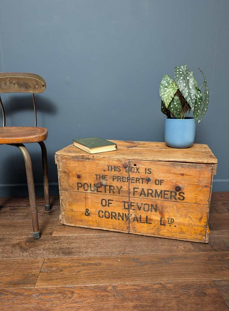 c.1950s Devon and Cornwall egg transportation box - Image 20