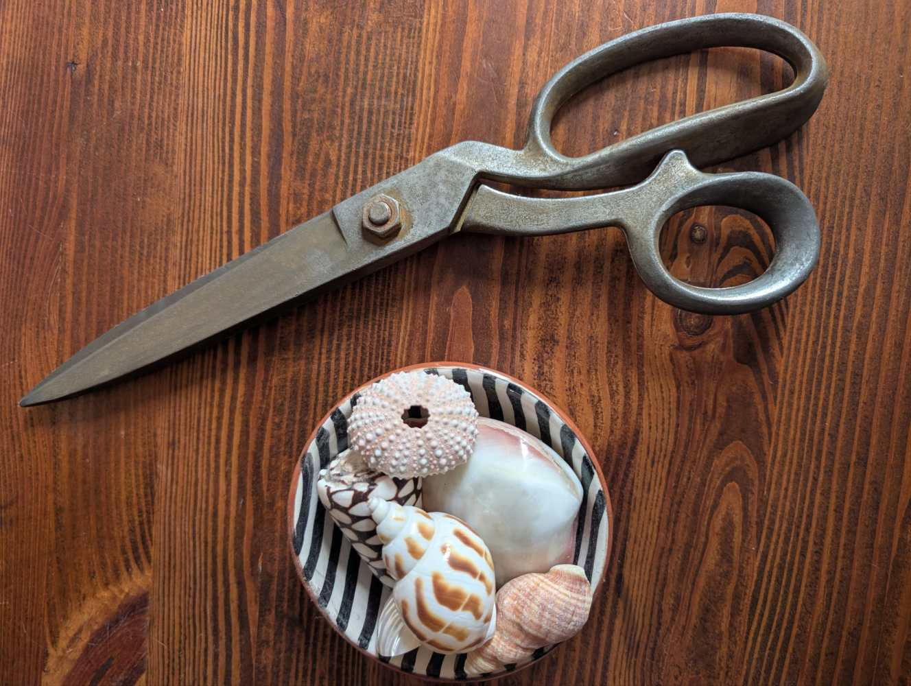 Huge tailor's shears, Sheffield-made scissors - Image 8