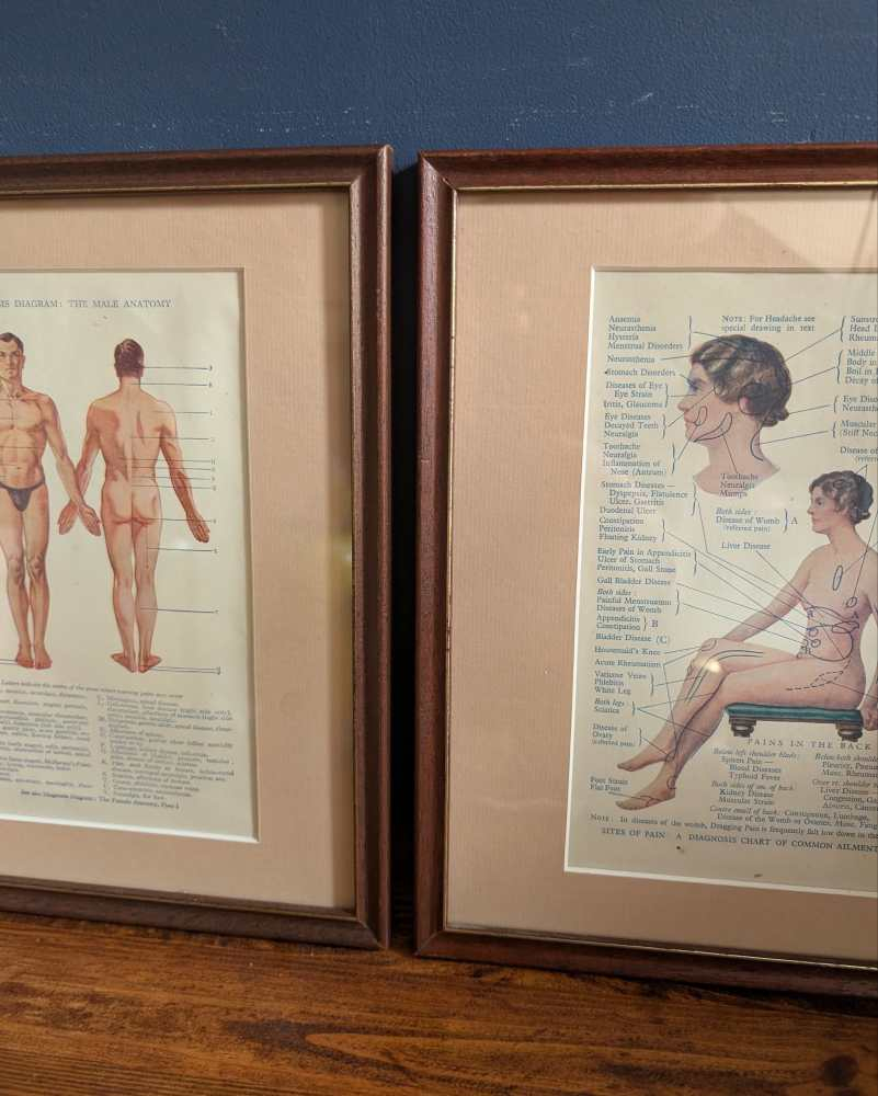 Early 20th century pair of male and female medical diagnosis diagrams of patients labelled with symptoms - Image 12